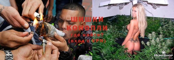 spice Богородск